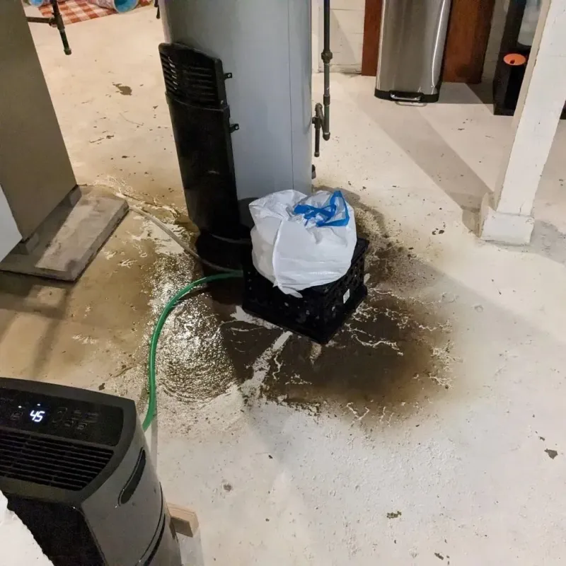 Sewage Backup Cleanup Service in Pomona, CA